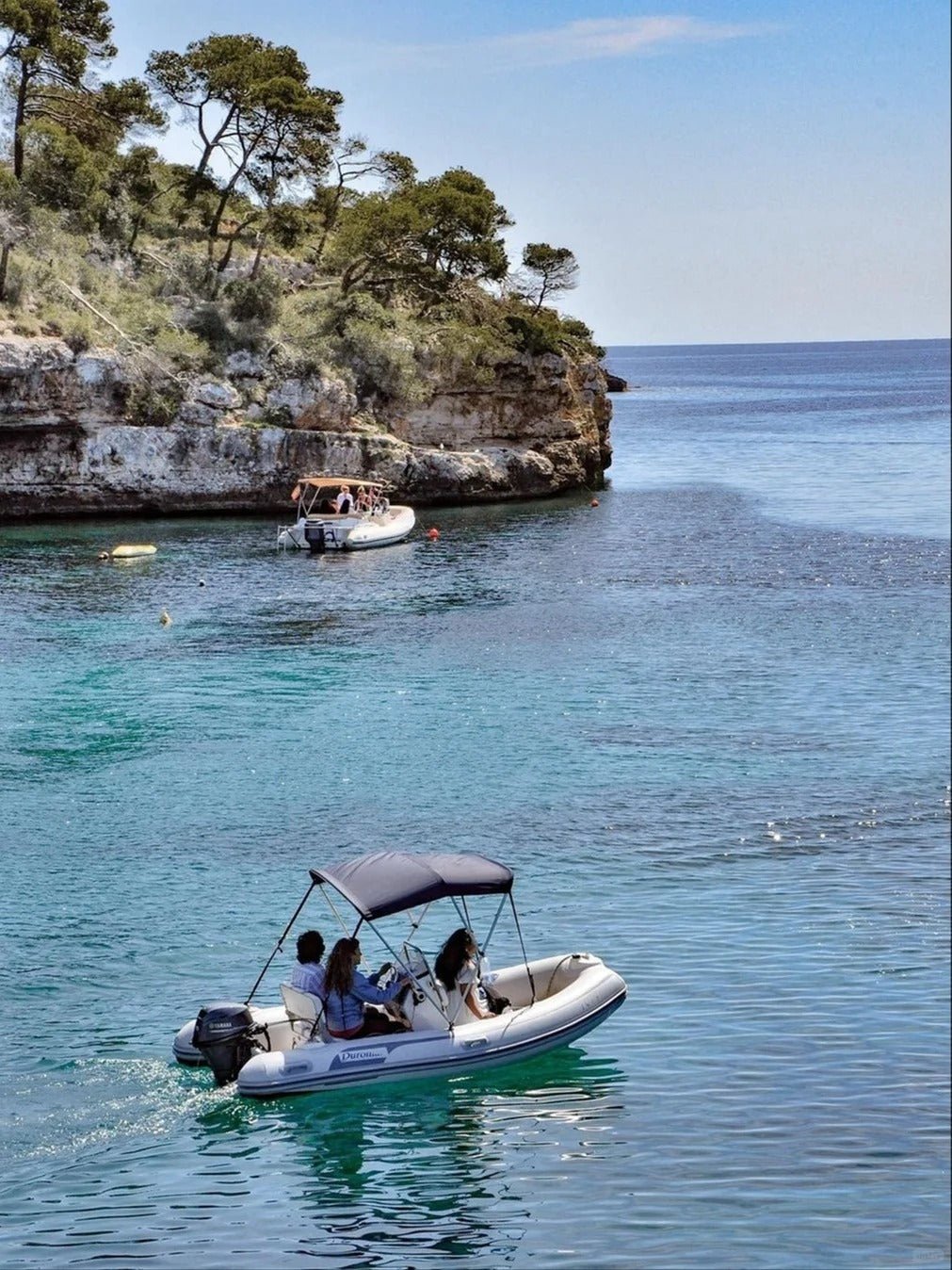 Coastal Grandma Aesthetic with Ever Lasting - Ever Lasting