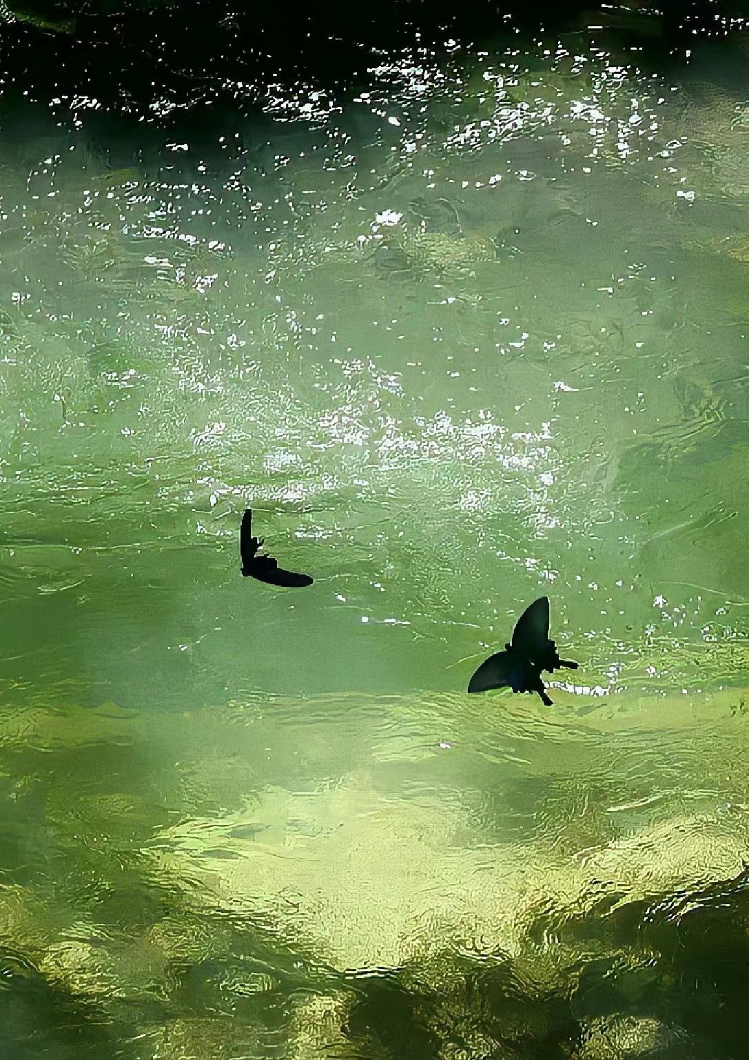 Creating the Perfect Summer Bedroom with ever lasting đ - Ever Lasting