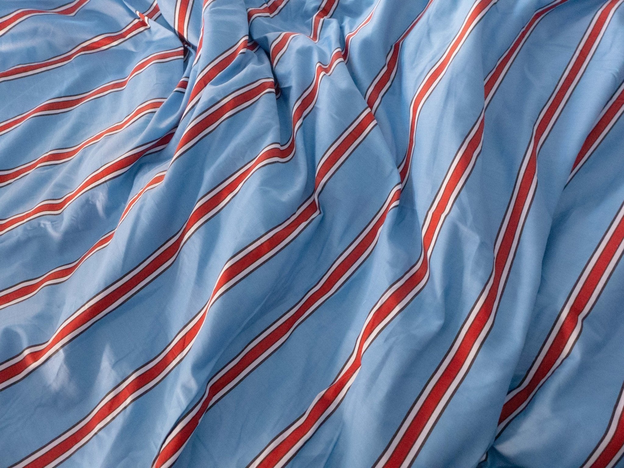 Gelu's Guide On How to Make a Small Space Work with Pets - Ever Lasting