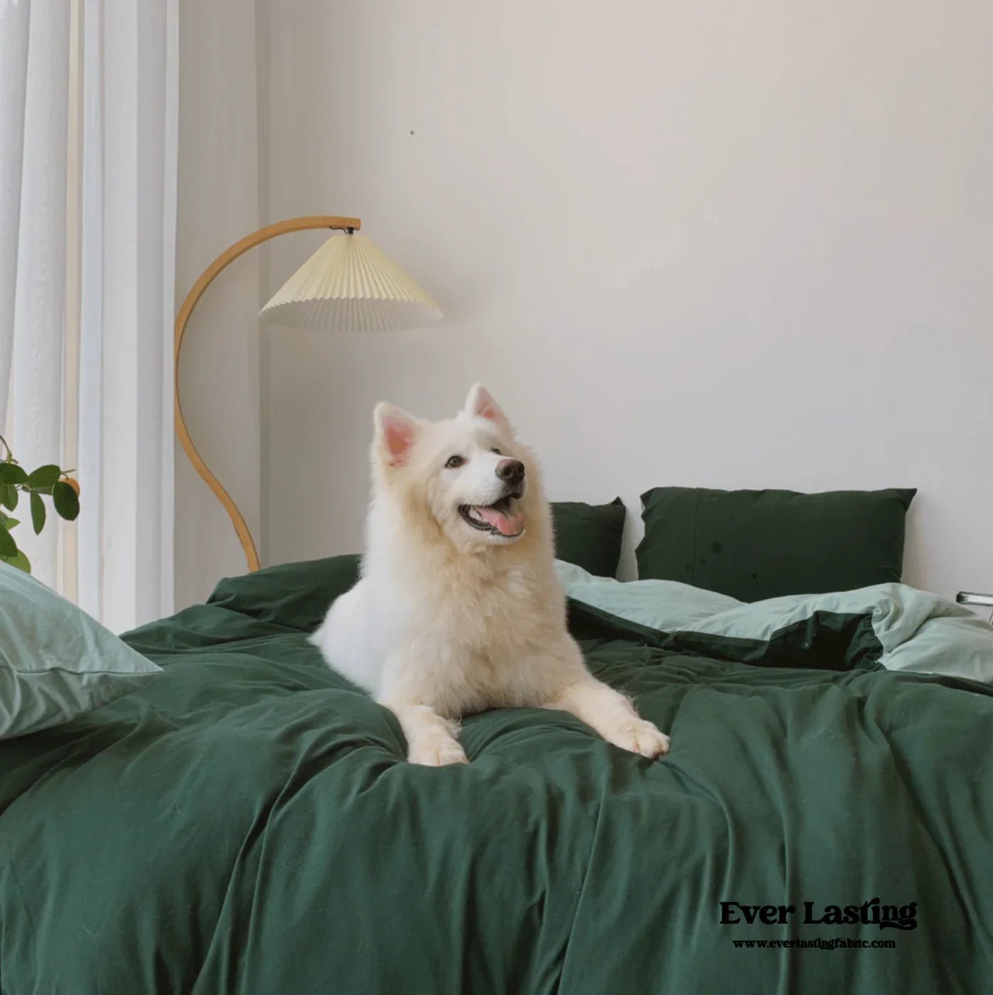 Layers of Comfort: Cozy Throws and Bedding for Cold Nights in Twilight - Ever Lasting