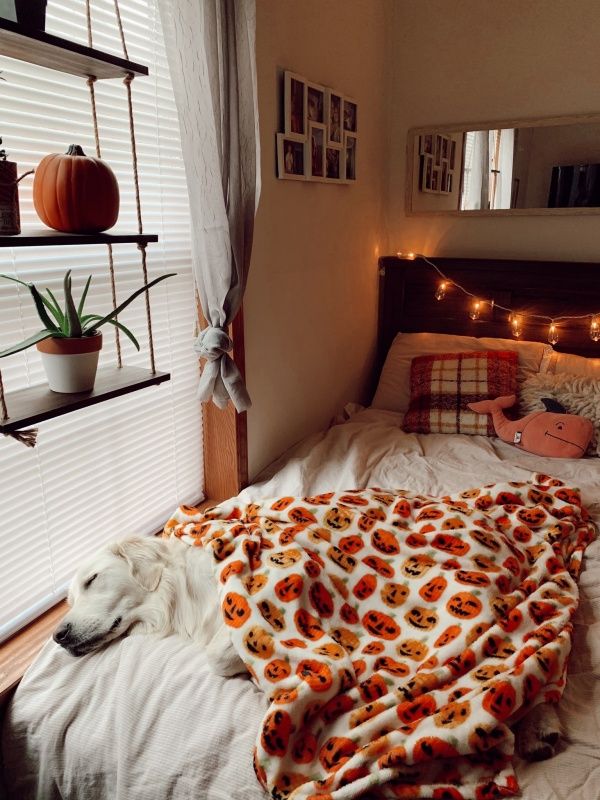 Pumpkin Spice Bedroom Aesthetic makes everything right! 5 easy steps to get the look! - Ever Lasting