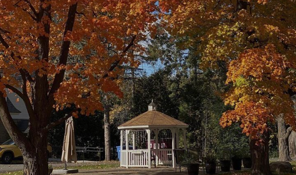Gilmore Girls Fall Aesthetic Bedding Inspo by Ever Lasting