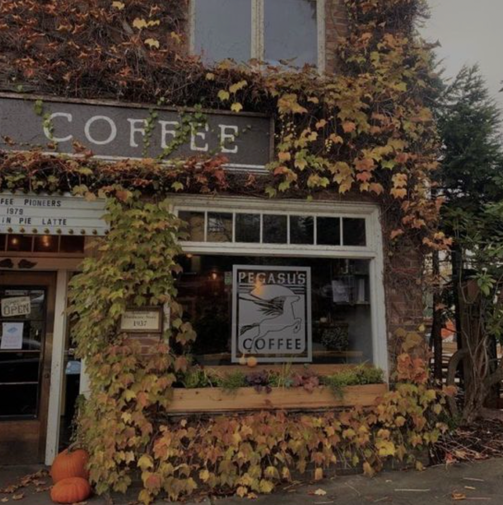 Fall Bedding Inspo By Ever Lasting