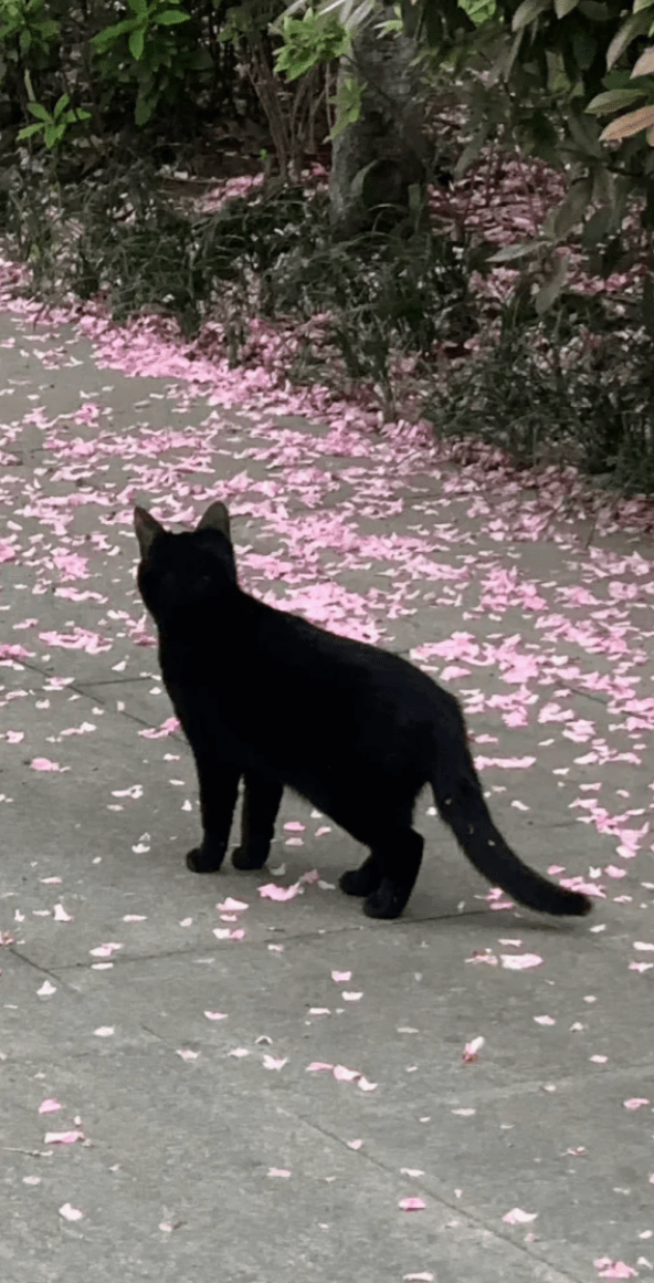 Spruce Up Your Space This Spring with Ever Lasting - Ever Lasting