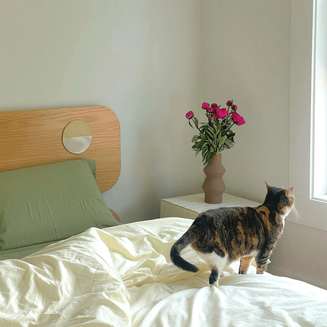 Sun-Soaked Minimalism: 2025’s Hottest Bedroom Look - Ever Lasting