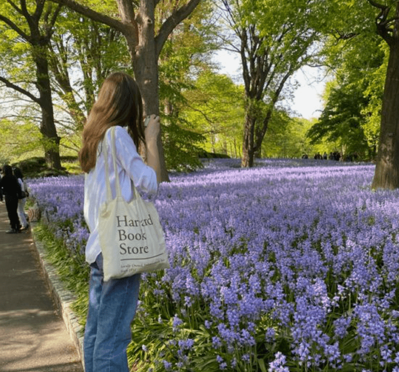 The Spring Fashion /Home Trends with Ever Lasting ˚˖𓍢ִ໋🌷͙֒✧˚ - Ever Lasting