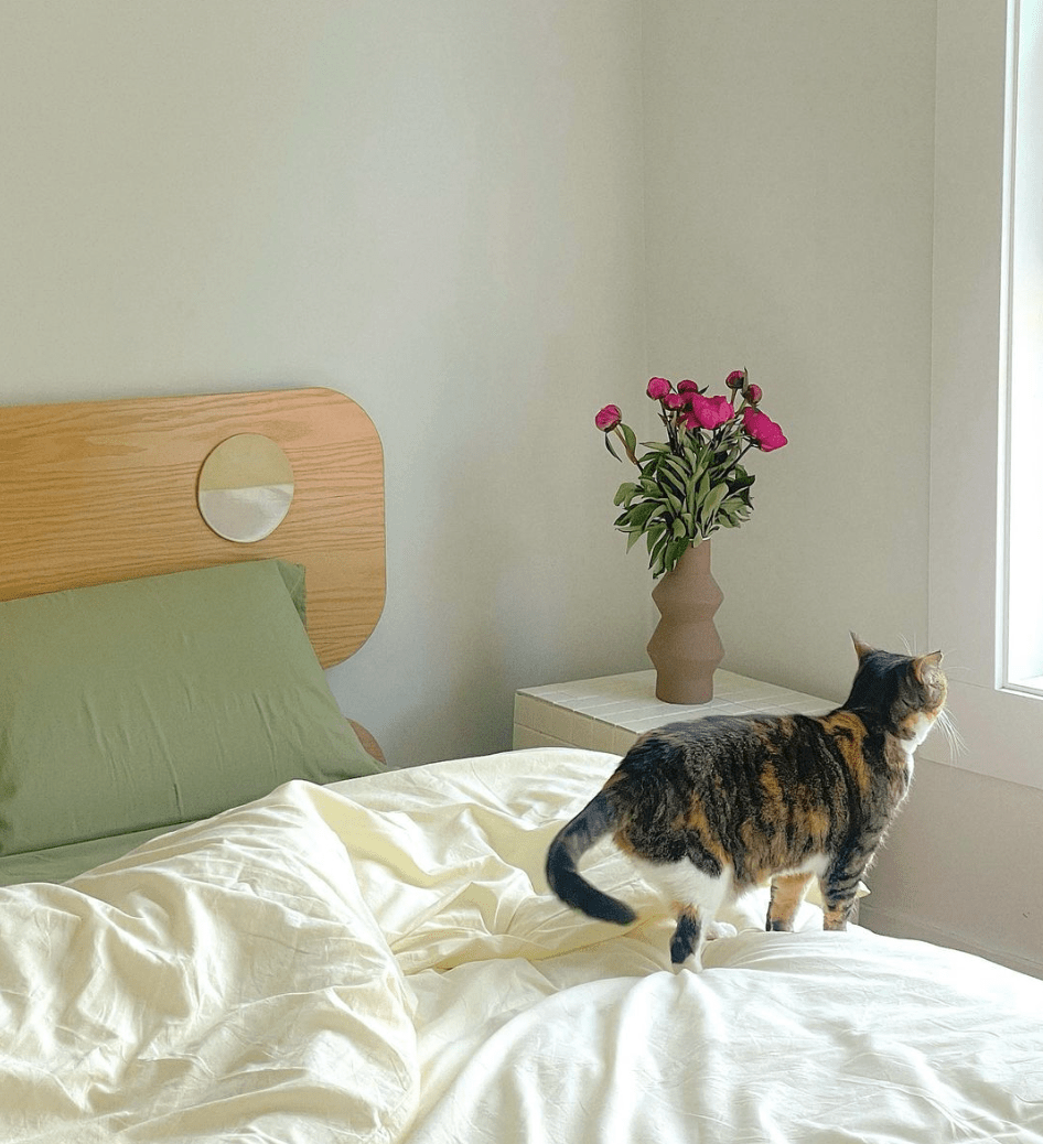 ✨ The Top 10 BEST Bedrooms of 2023 ✨ - Ever Lasting