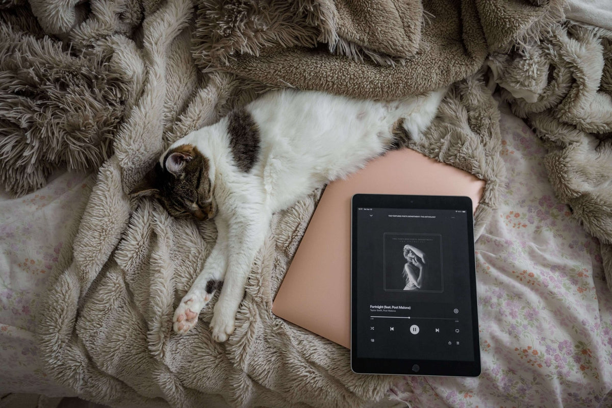 ✨ Transform Your Room into Your Favorite Taylor Swift Era ✨ - Ever Lasting