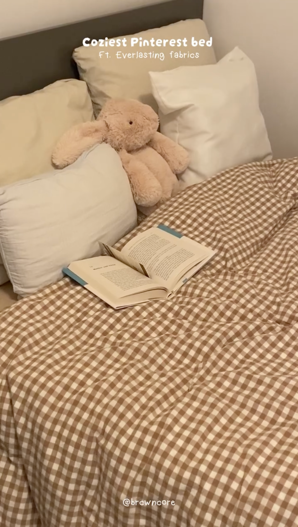 Gingham Pillowcases Pillow Cases