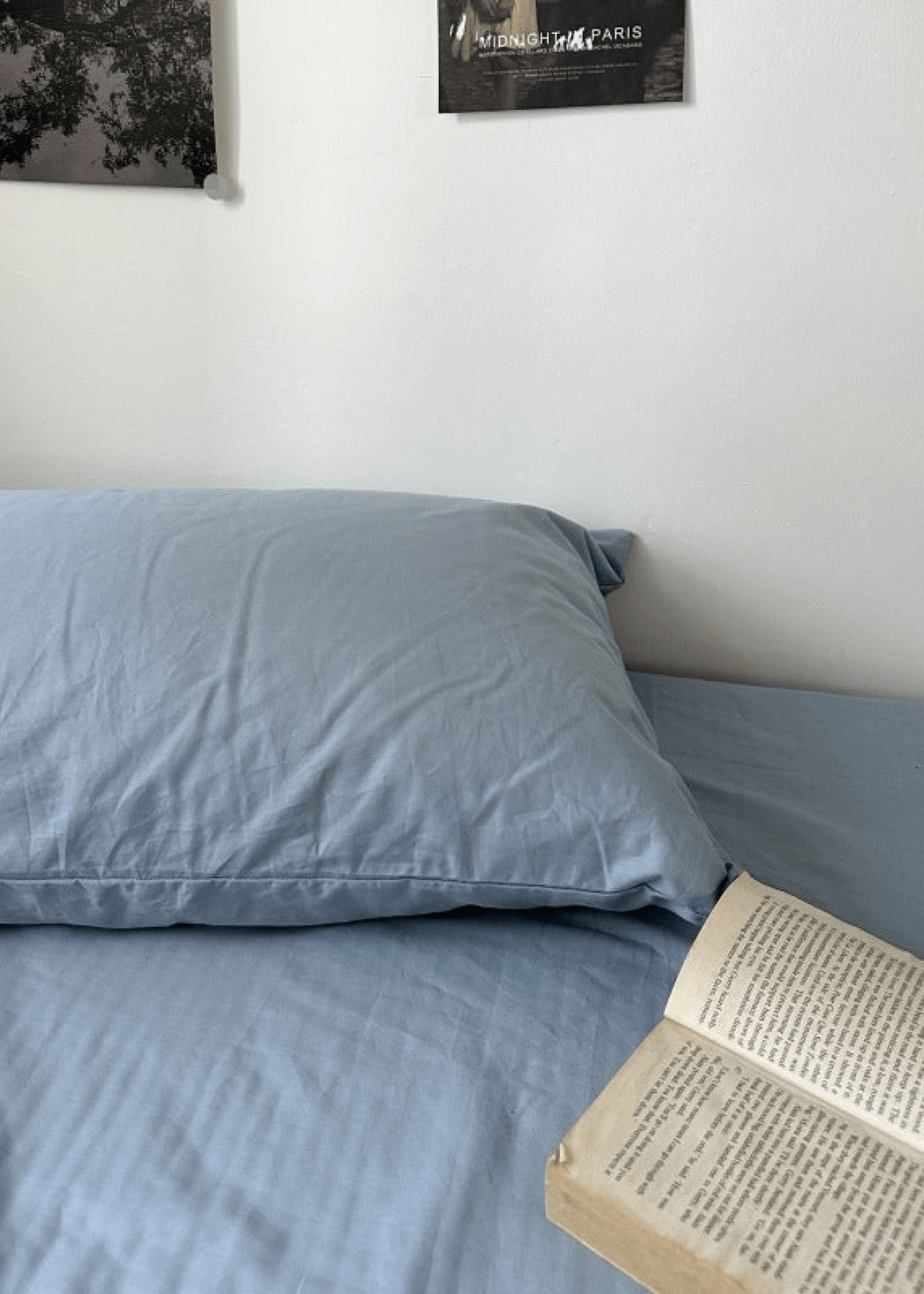 Assorted Spring Pastel Floral & Solid Cases - Ever Lasting