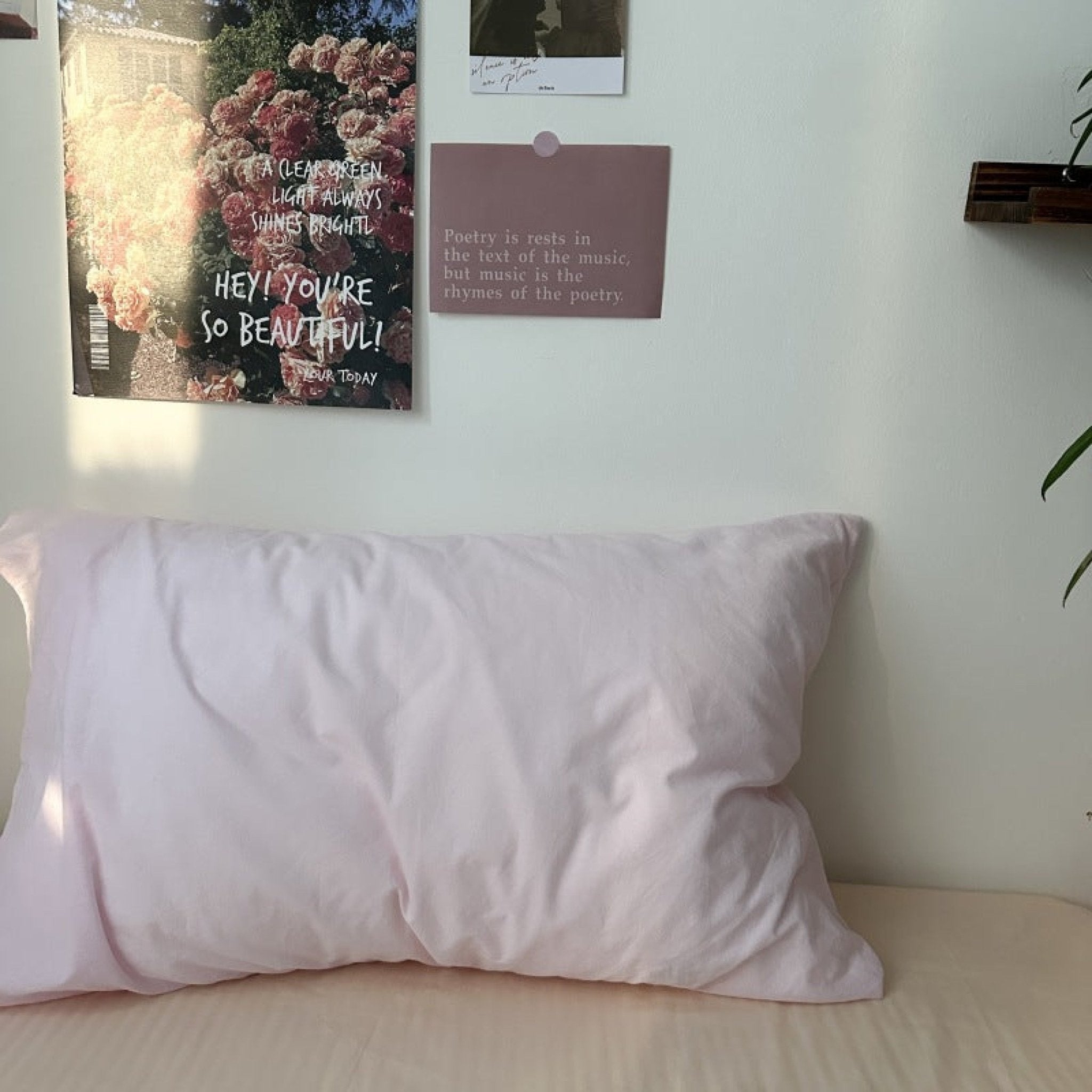 Assorted Spring Pastel Floral & Solid Cases - Ever Lasting