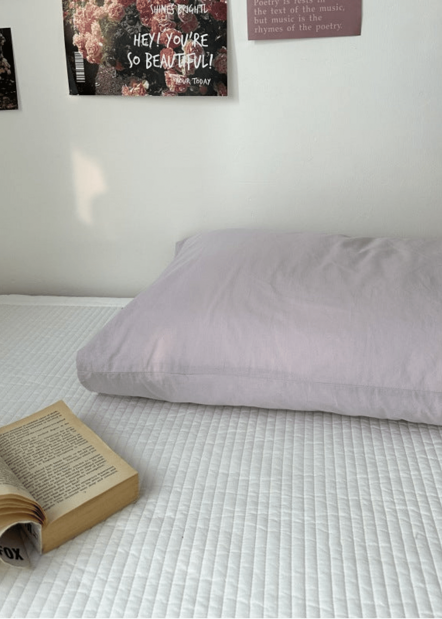 - Ever Lasting - Assorted Spring Pastel Floral & Solid Cases - Pillowcases - Ever Lasting