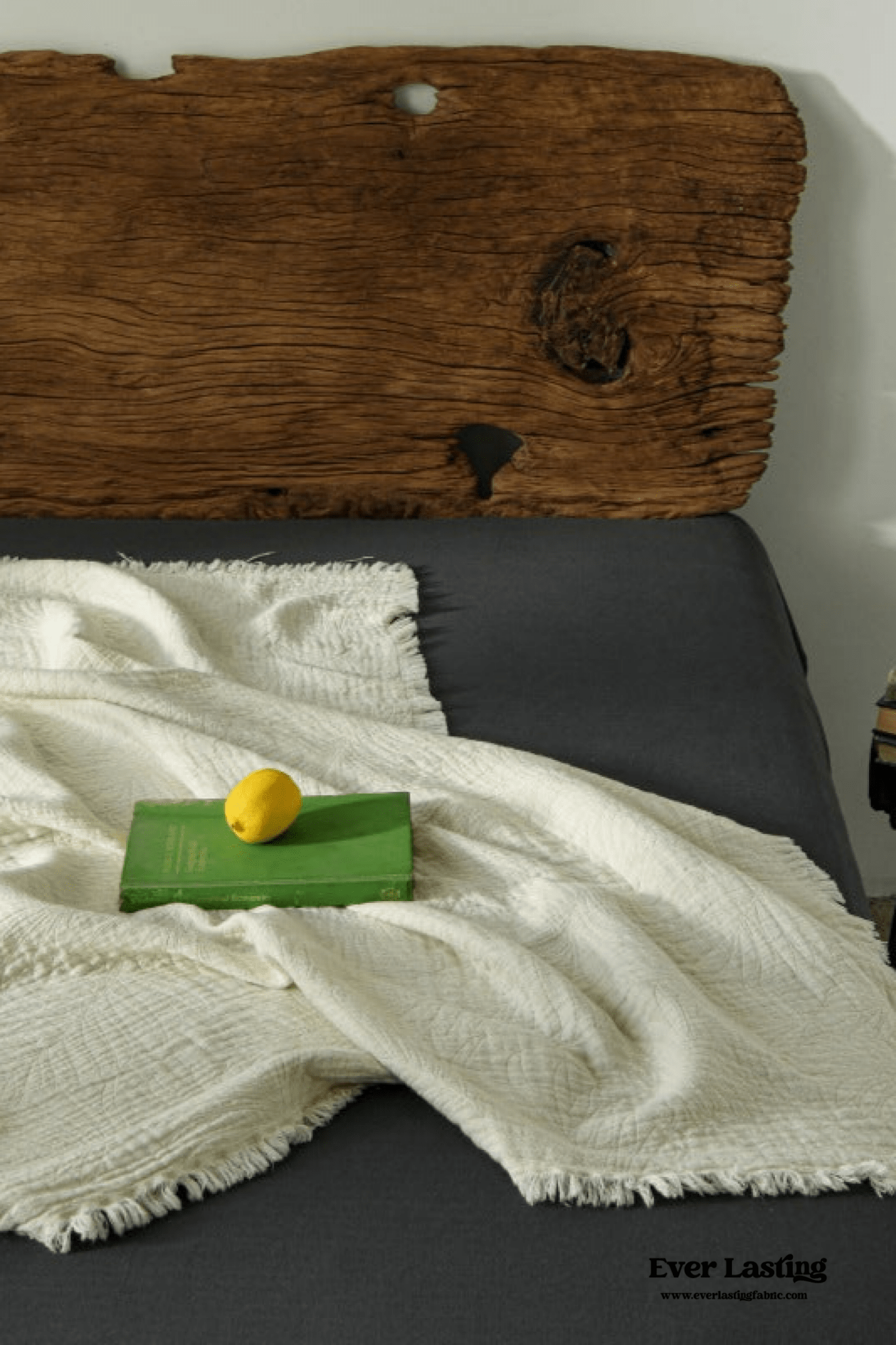 Back to School Dorm Decor Essentials | Summer Rays Bundle - Ever Lasting