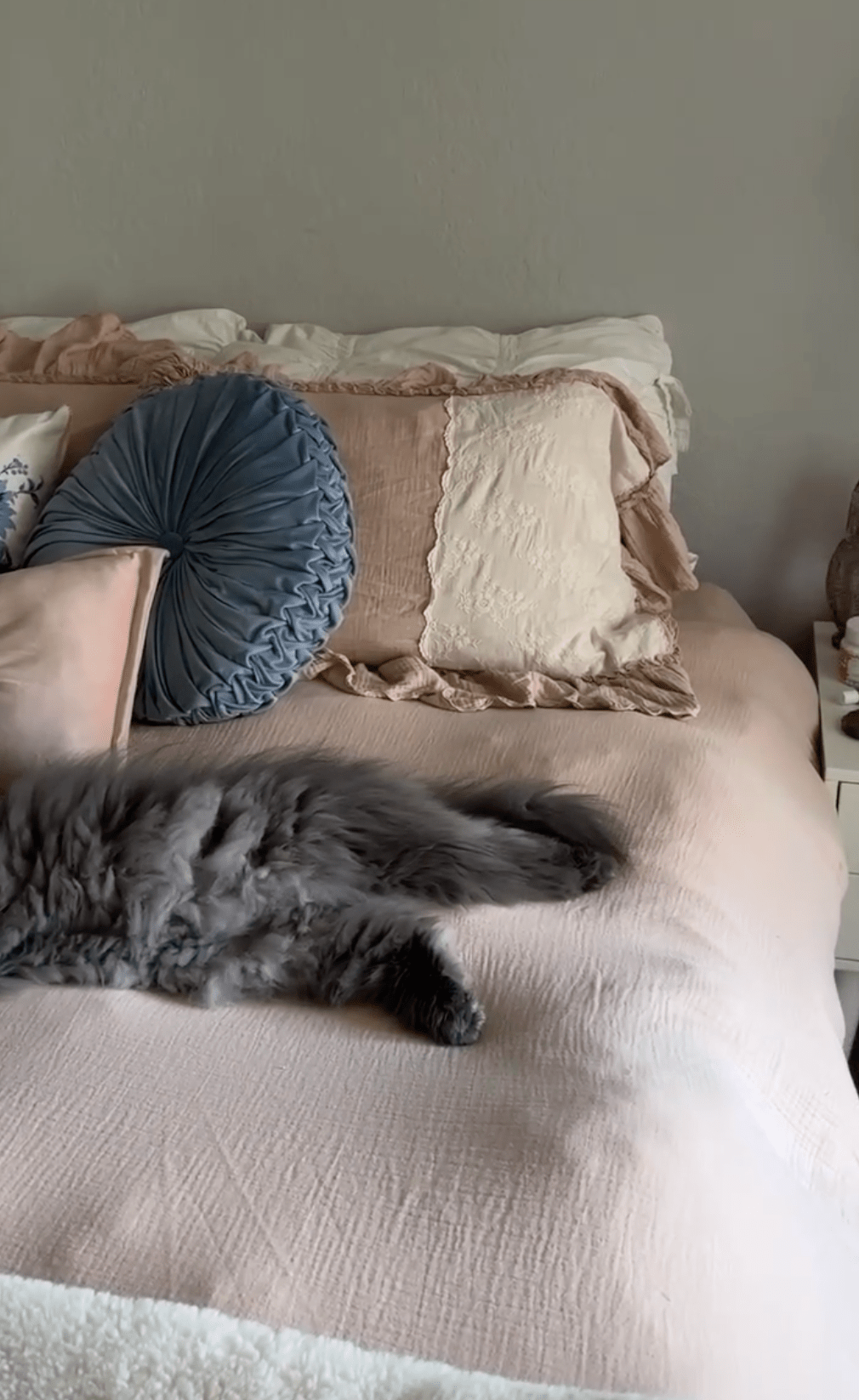 Celeste Soft Lace Embroidered Ruffle Bedding Set / Olive Green - Ever Lasting