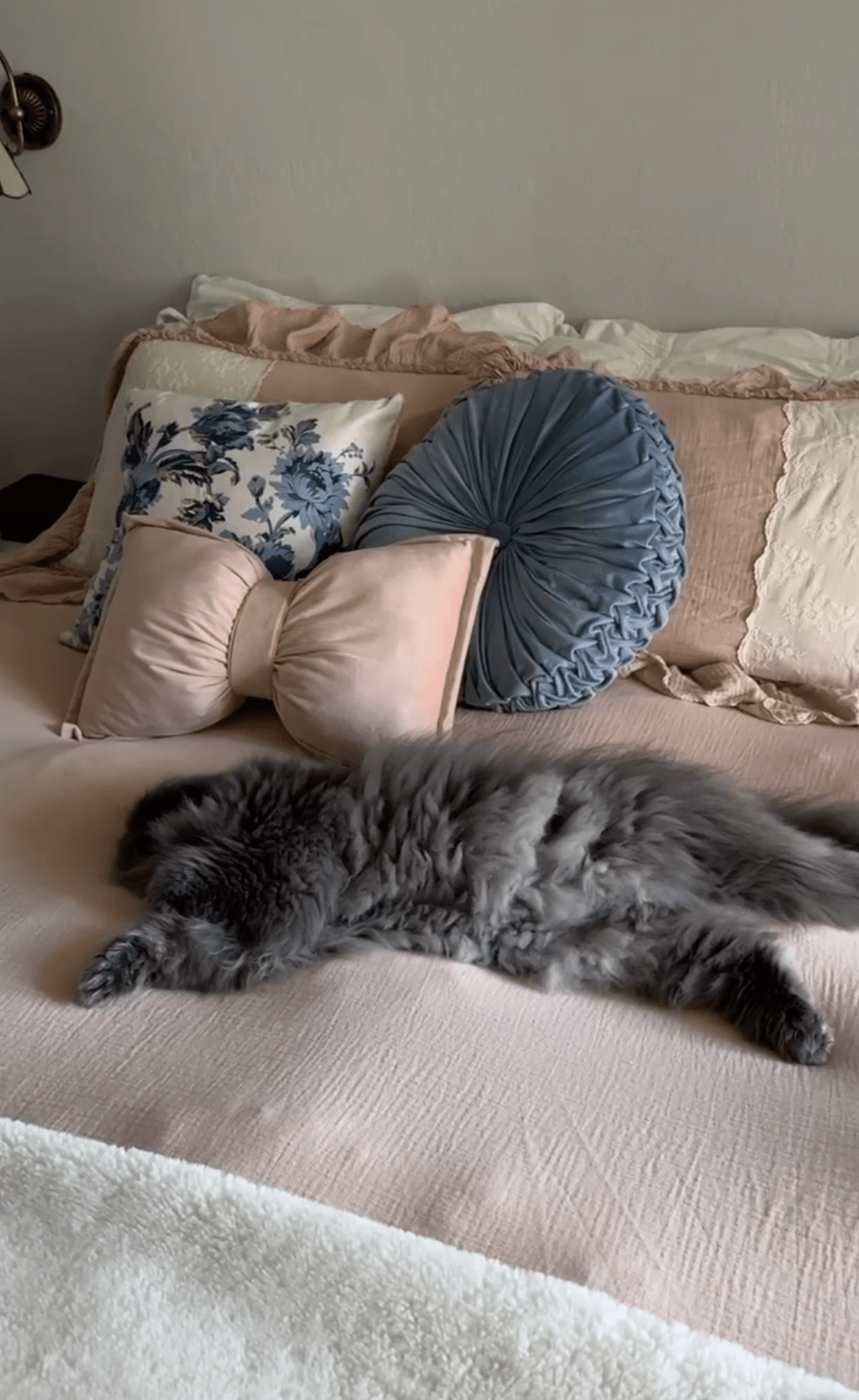 Celeste Soft Lace Embroidered Ruffle Bedding Set / Olive Green - Ever Lasting