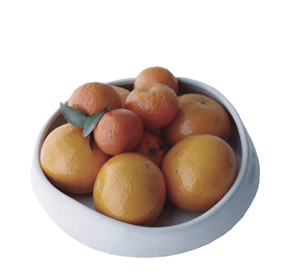 - Ever Lasting - Ceramic Fruit Bowl - Homeware - Ever Lasting