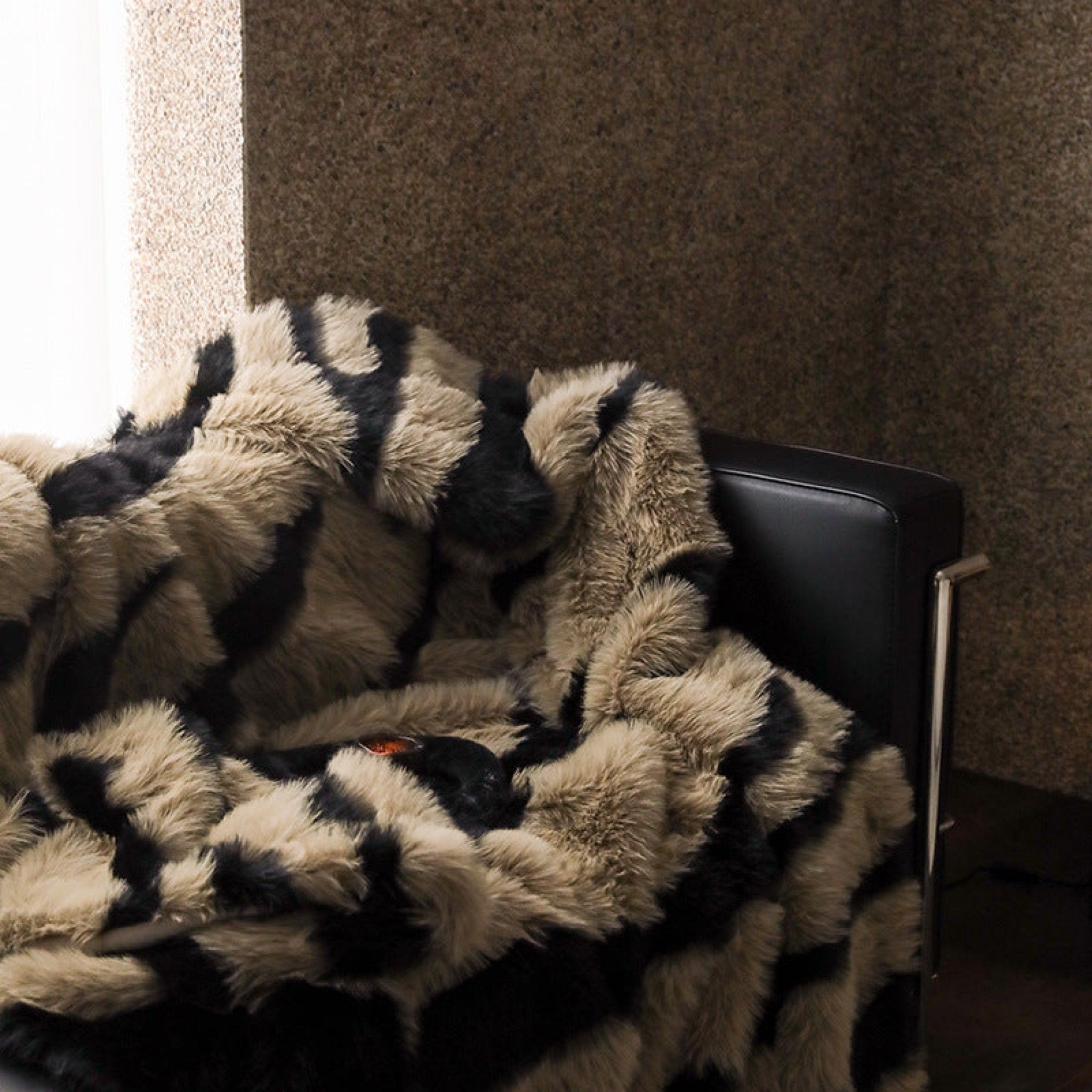 Classic Zebra Print Blanket & Pillows / White - Ever Lasting