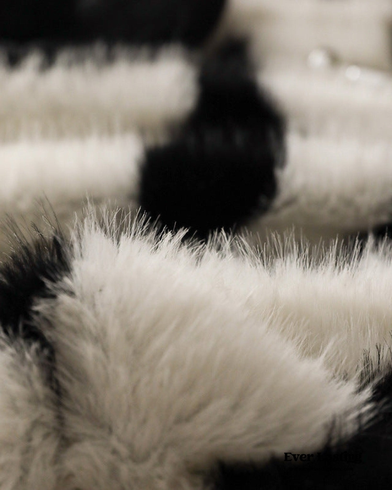 Classic Zebra Print Blanket & Pillows / White - Ever Lasting