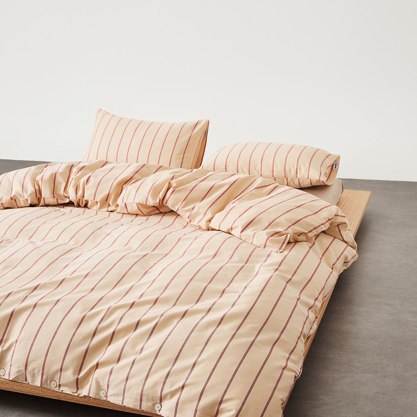 College Dorm Bundle – Aligning the Essentials - Back to School Kit - Ever Lasting