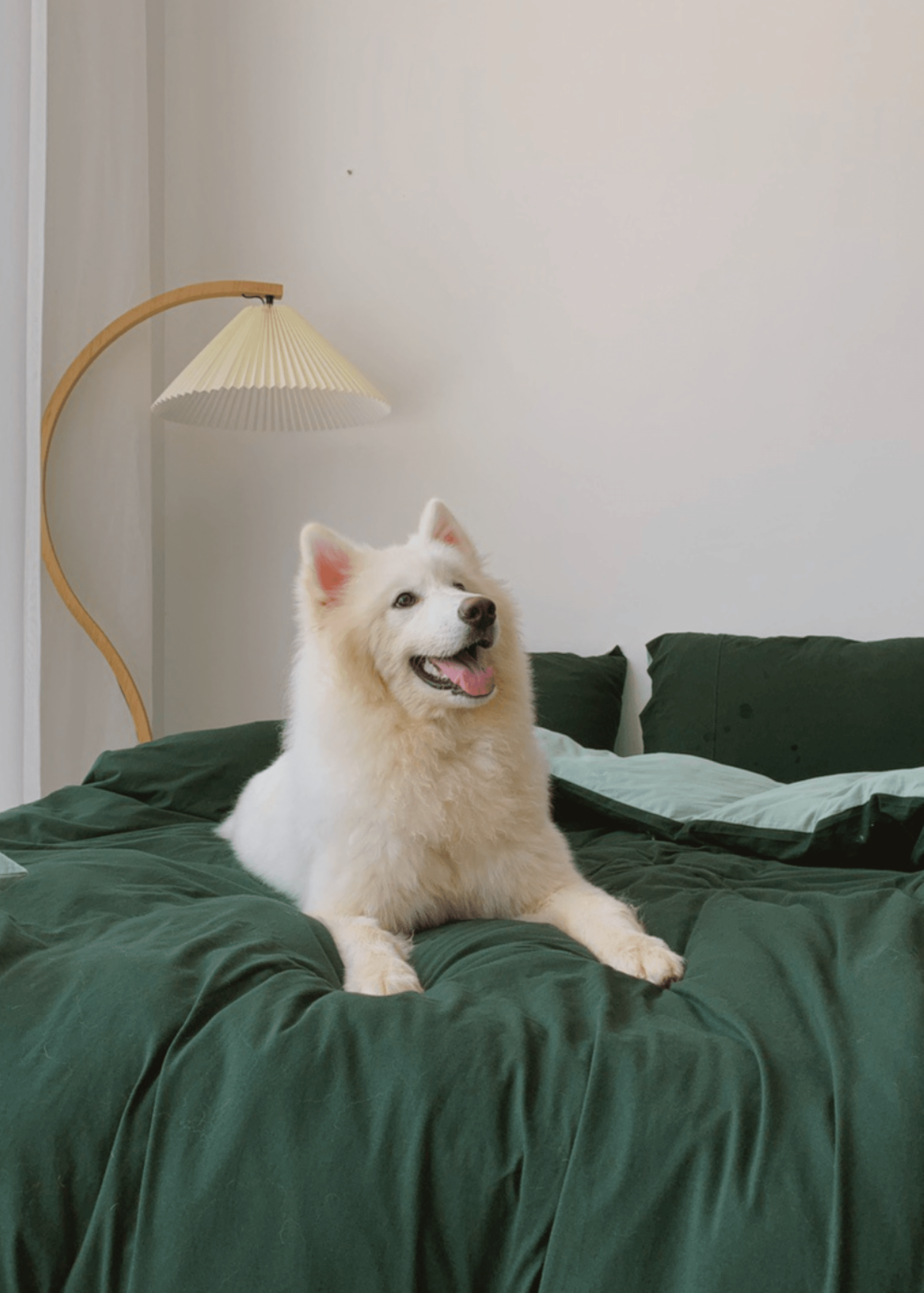 - Ever Lasting - Duo Bedding Set / Orange - Bedding Set - Ever Lasting