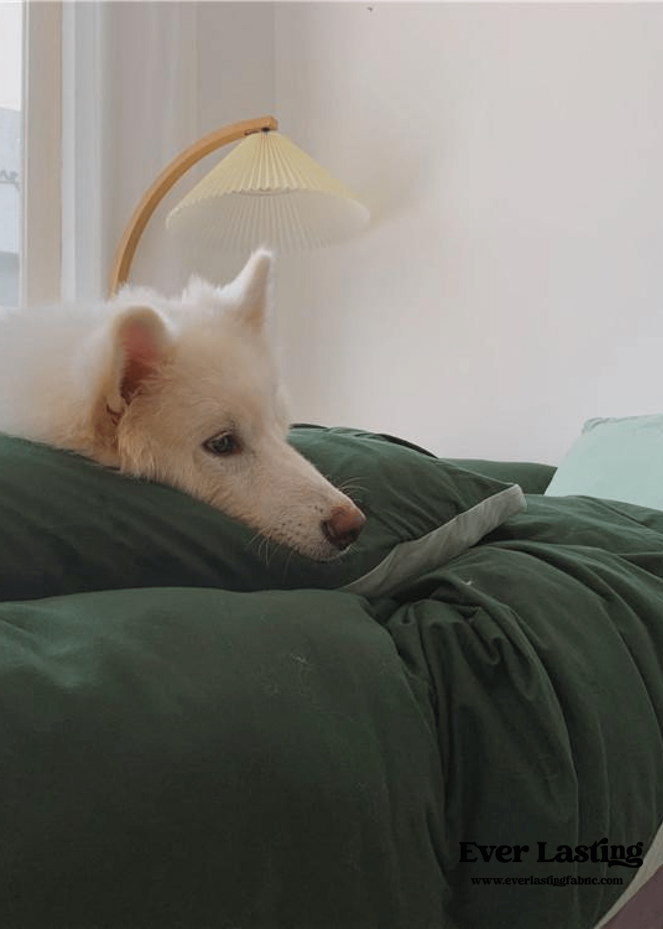 - Ever Lasting - Duo Bedding Set / Orange - Bedding Set - Ever Lasting