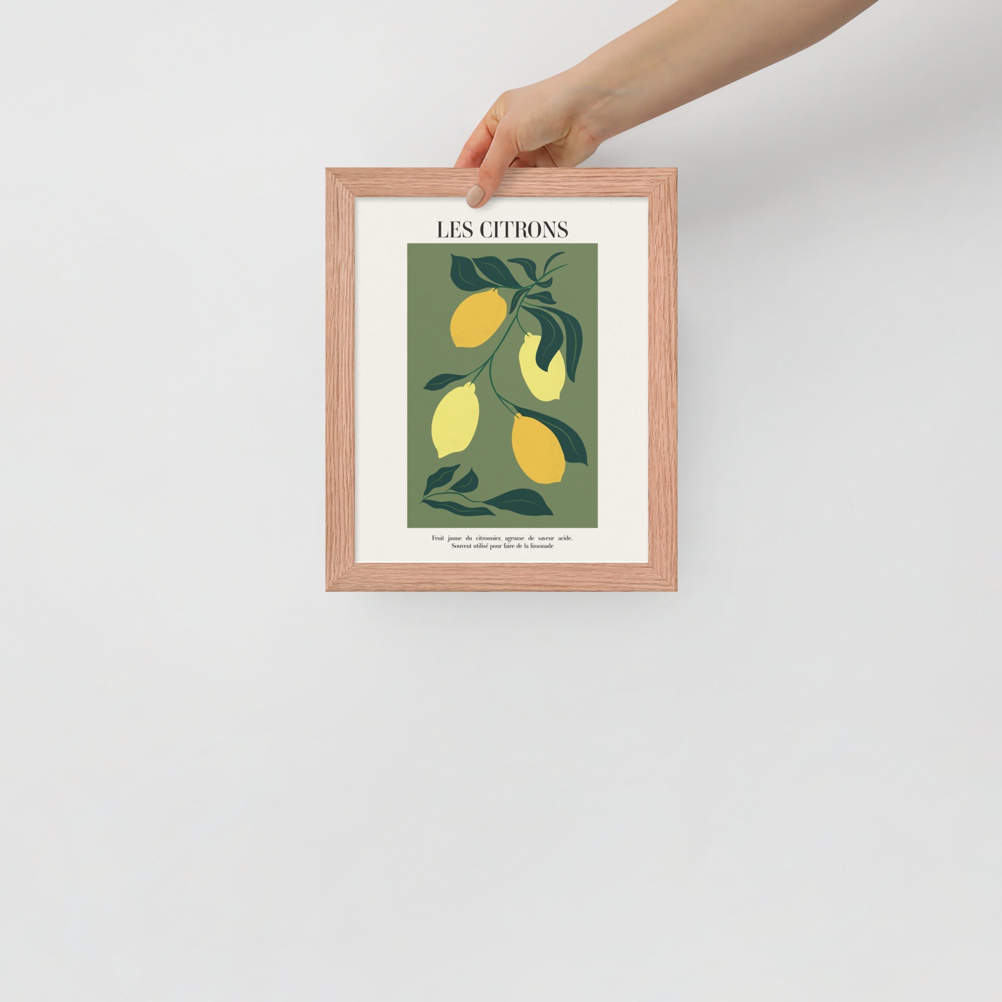-Ever Lasting - Les Citrons – Lemon Botanical French Kitchen Art Print -Poster -Ever Lasting