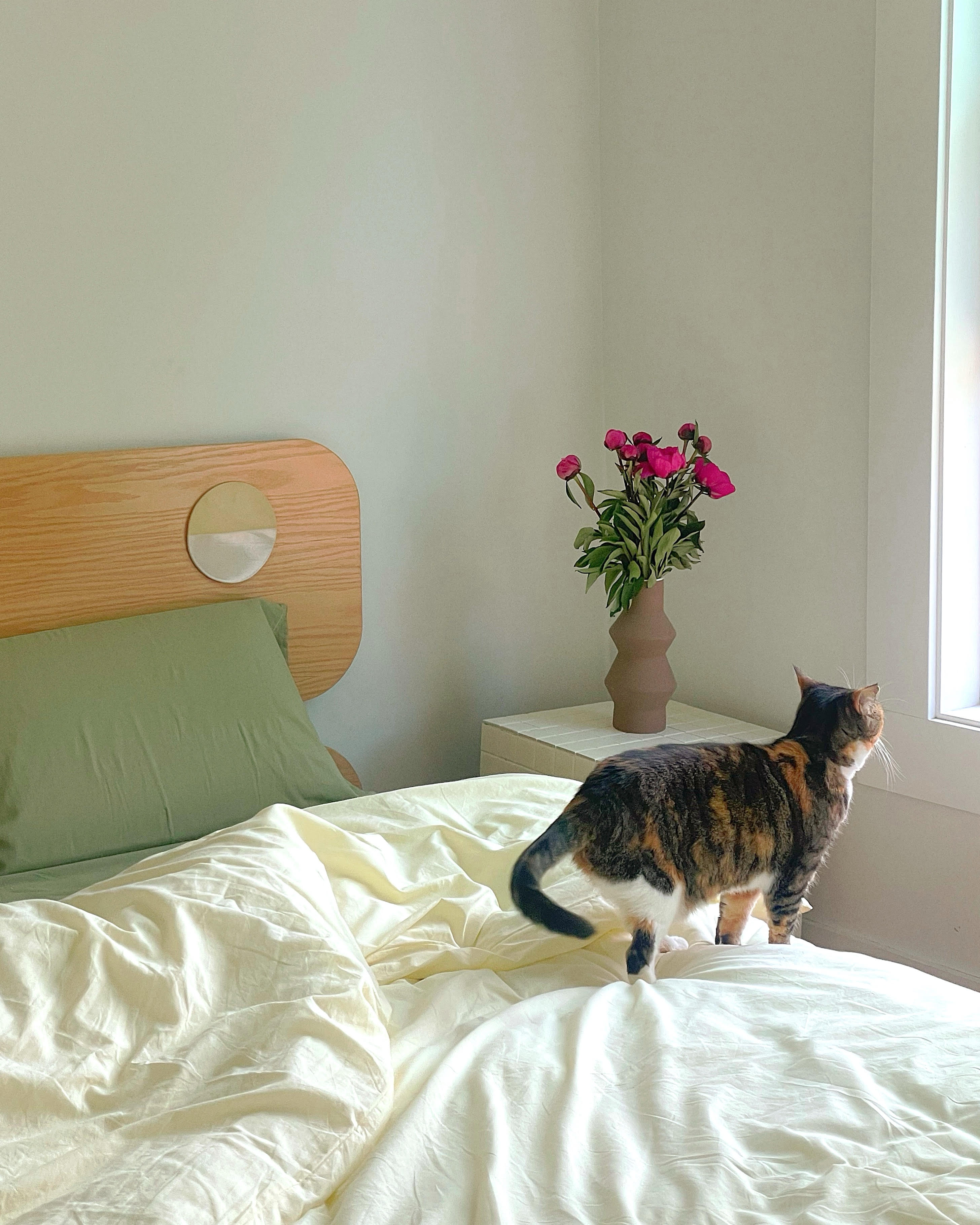 - Ever Lasting - Mixed Color Bedding Set / Green + Yellow - Bedding Set - Ever Lasting