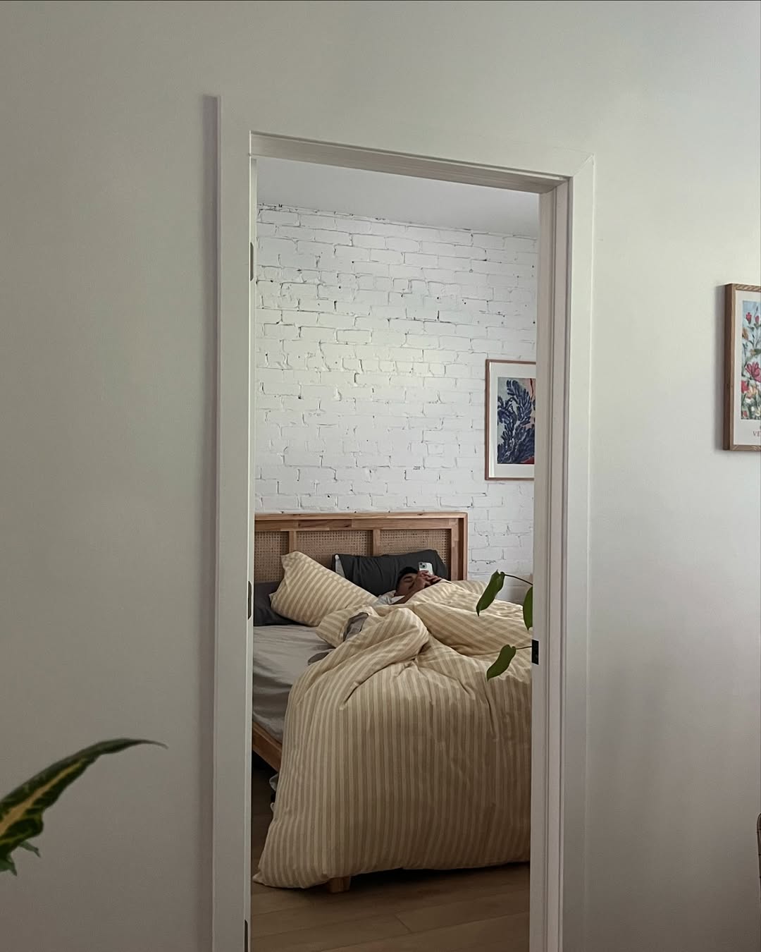 - Ever Lasting - Refreshing Stripe Pillowcases / Yellow - Pillowcases - Ever Lasting