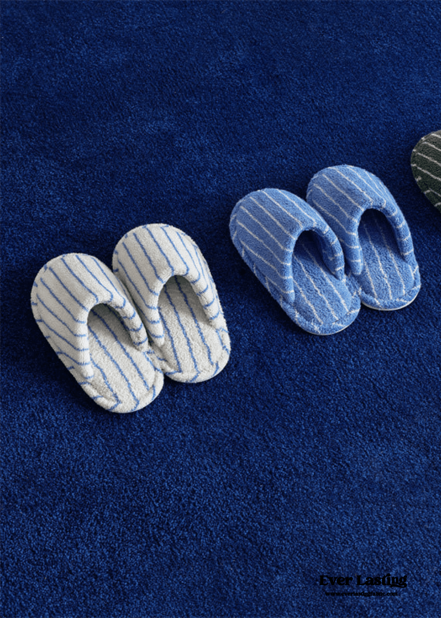 Thin Striped House Slippers / Blue - Ever Lasting
