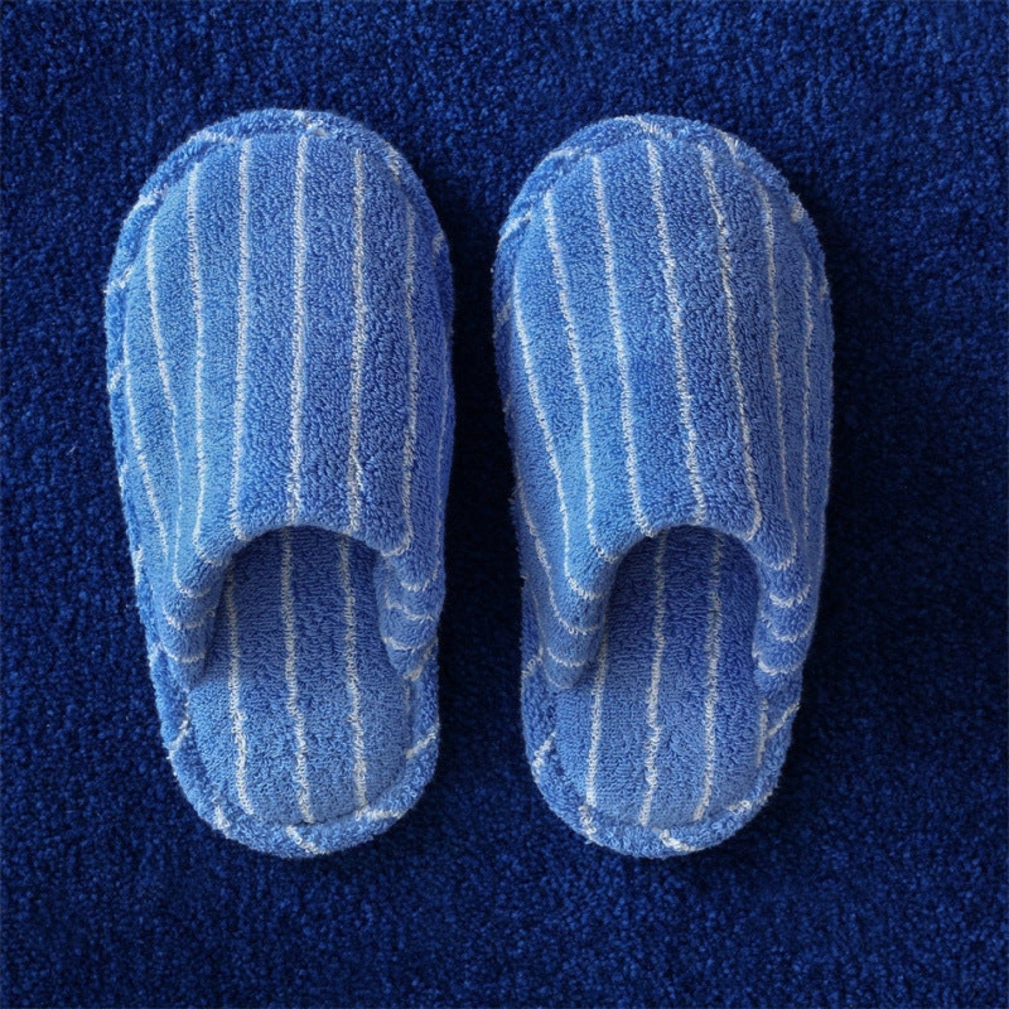 Thin Striped House Slippers / Blue - Ever Lasting