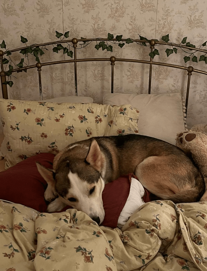 - Ever Lasting - Vintage Inspired Floral Bedding Set / Brown + Beige - Bedding Set - Ever Lasting