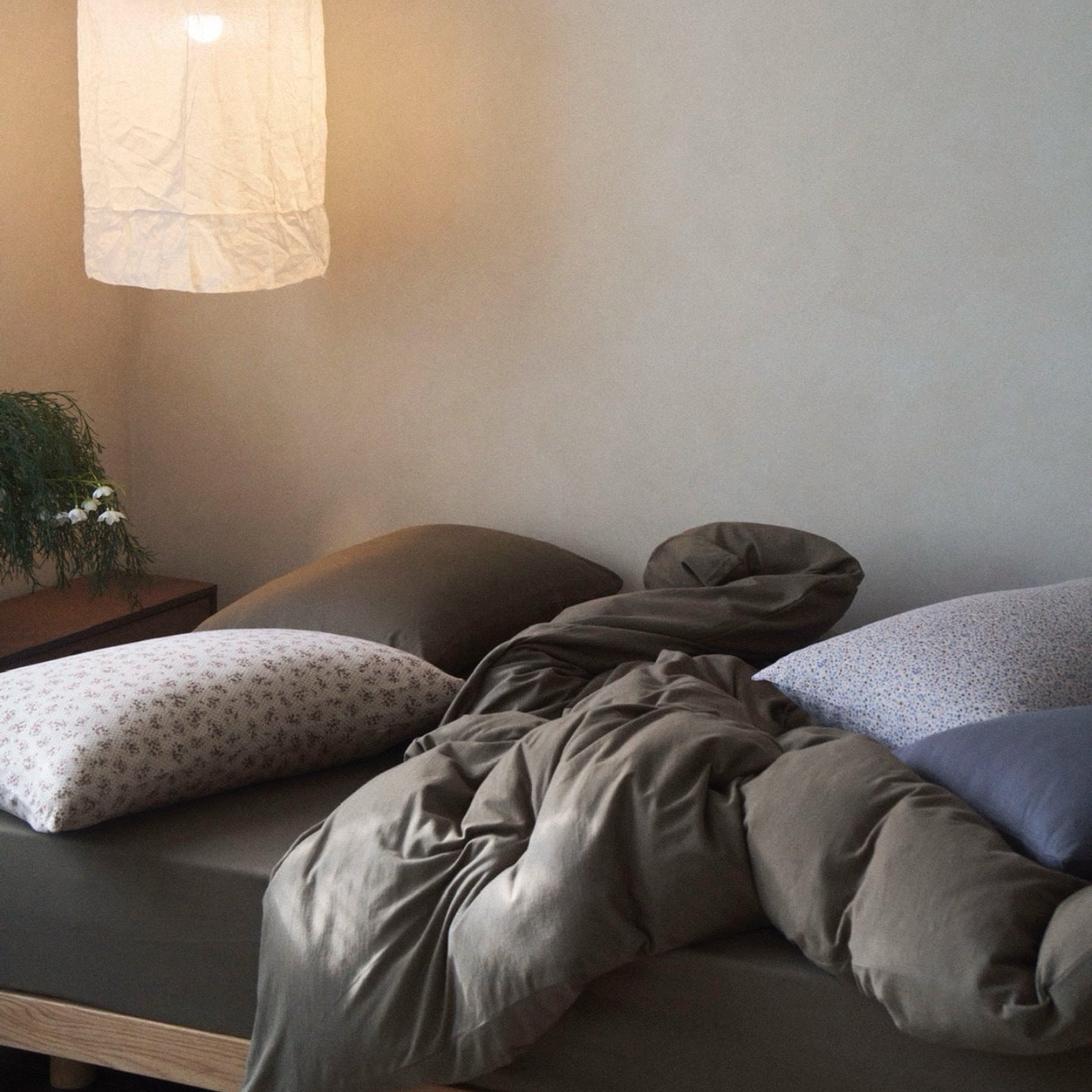 - Ever Lasting - Wyatt Pure Cotton Bedding Bundle - Bedding Bundle - Ever Lasting