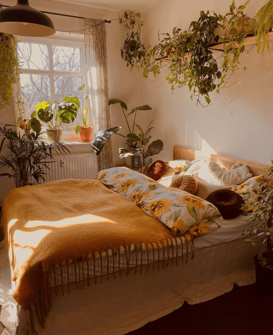 10 DORM ROOM ESSENTIALS YOU NEED THIS SCHOOL YEAR - Ever Lasting