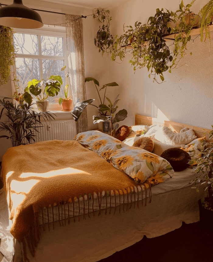 10 DORM ROOM ESSENTIALS YOU NEED THIS SCHOOL YEAR - Ever Lasting