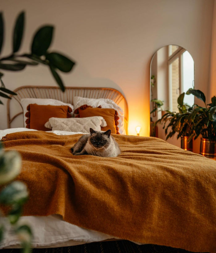 10 super CUTE Dorm Decor Your Need In 2023 - Ever Lasting