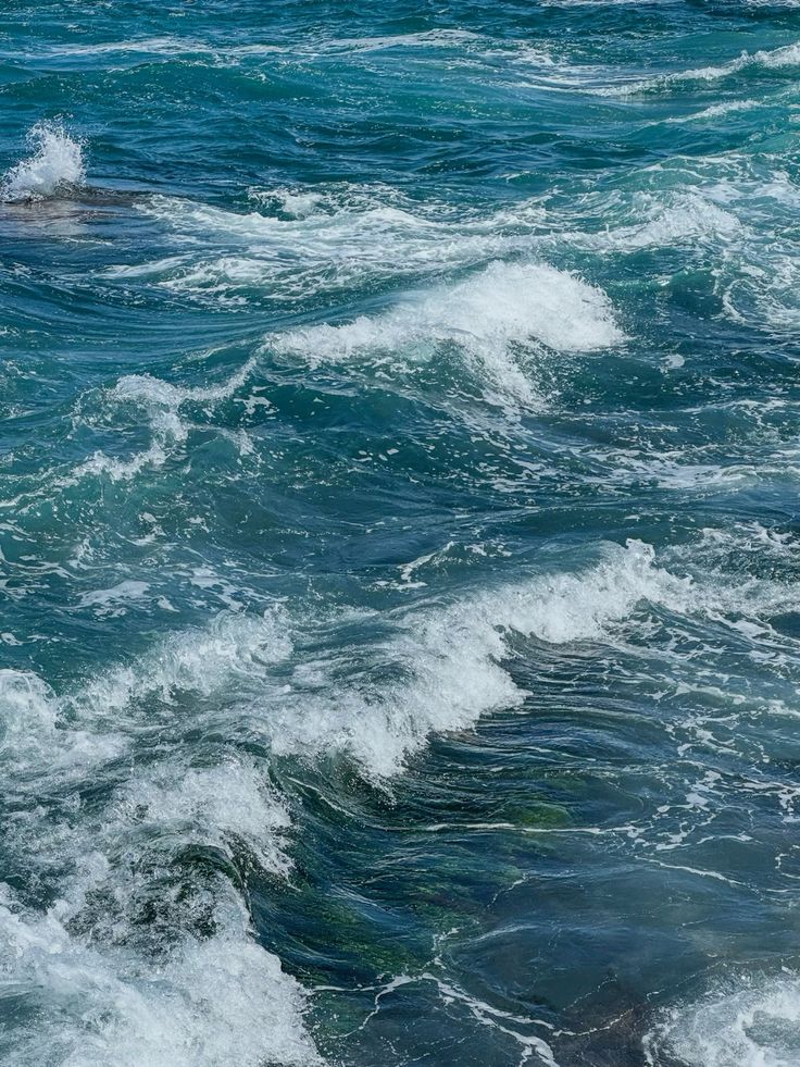 A Relaxing Summer Beach Day with Ever Lasting - Ever Lasting