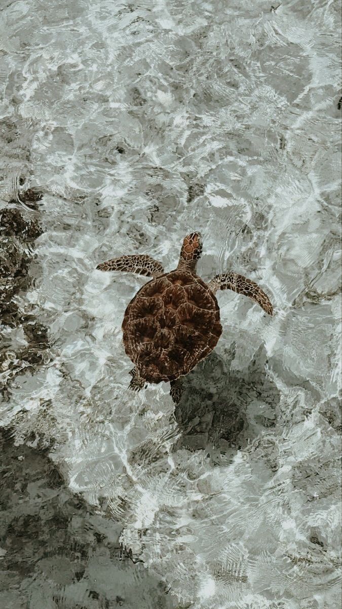 Eco-Friendly and Sustainable Bedding Options for Conscious Students 🍃 - Ever Lasting