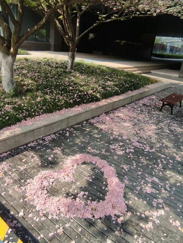 Elevate Your Spring Aesthetic: Embrace the Season with Ever Lasting - Ever Lasting