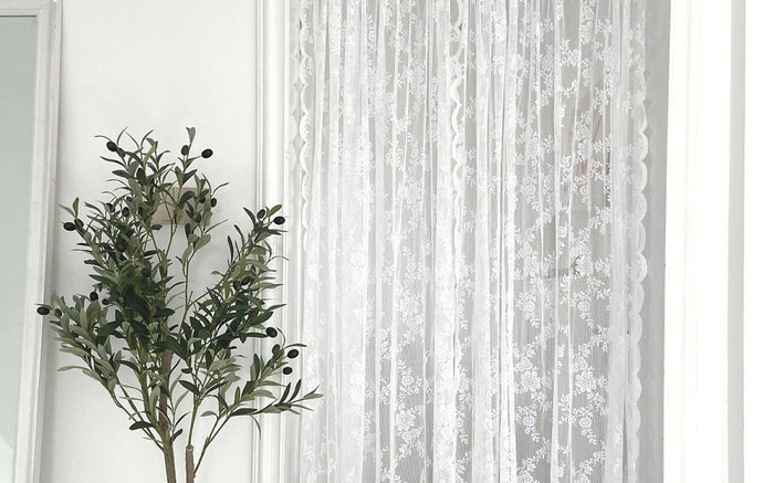 Embracing Softness: Aesthetic Living and the Power of Being Gentle - Ever Lasting