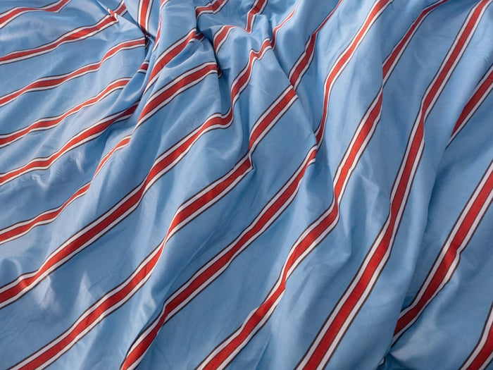 Gelu's Guide On How to Make a Small Space Work with Pets - Ever Lasting