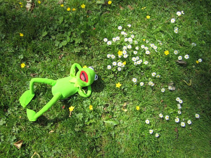 Leap into Comfort: Special Bedding Ideas for Leap Year Birthdays - Ever Lasting