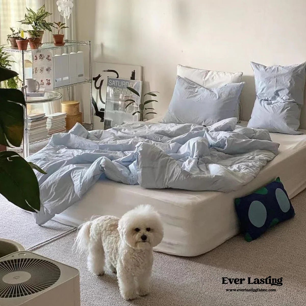 Pastel Academia: Soft Girl Meets Schoolgirl Style for Back to School 2025 - Ever Lasting