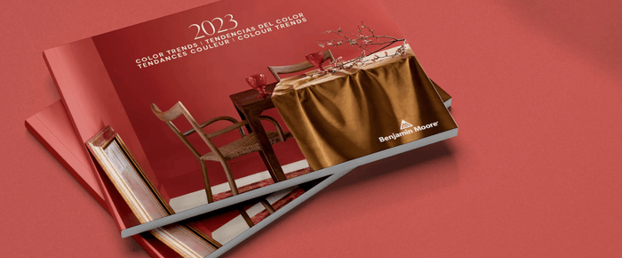 Raspberry Blush: What's all the hype about? 🍓💞 - Ever Lasting