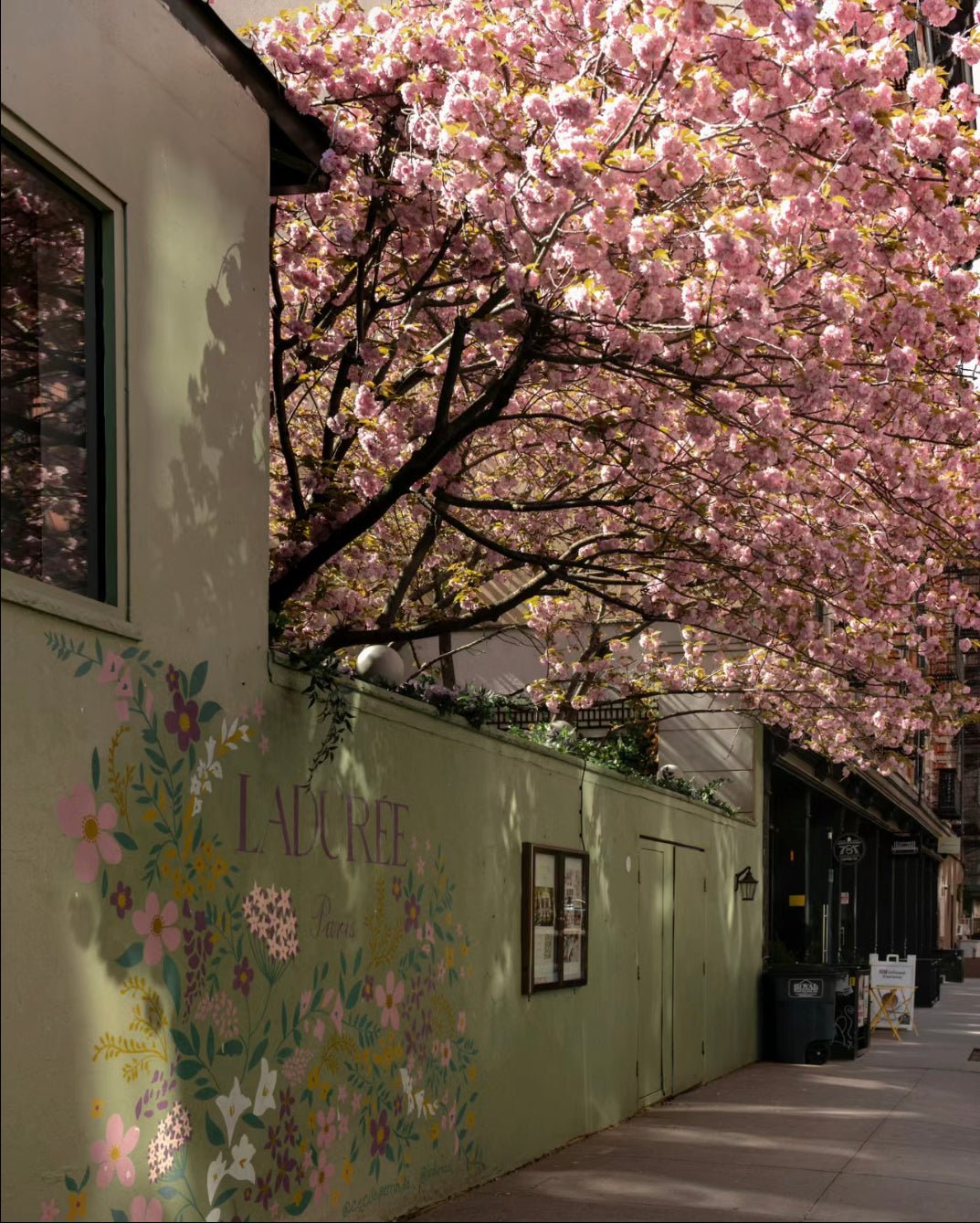 Seasonal Slumber: How to Choose the Perfect Bedding for Every Season with Everlasting 🌷☀️🍁❄️ - Ever Lasting