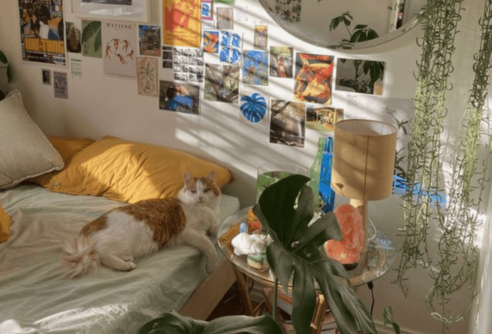 Top 10 Dream Dorm Essentials with Ever Lasting ♡ - Ever Lasting