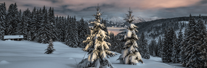 ♥️ TOP 5 Winter Bedroom Ideas for 2022 ☃️ ♥️ - Ever Lasting