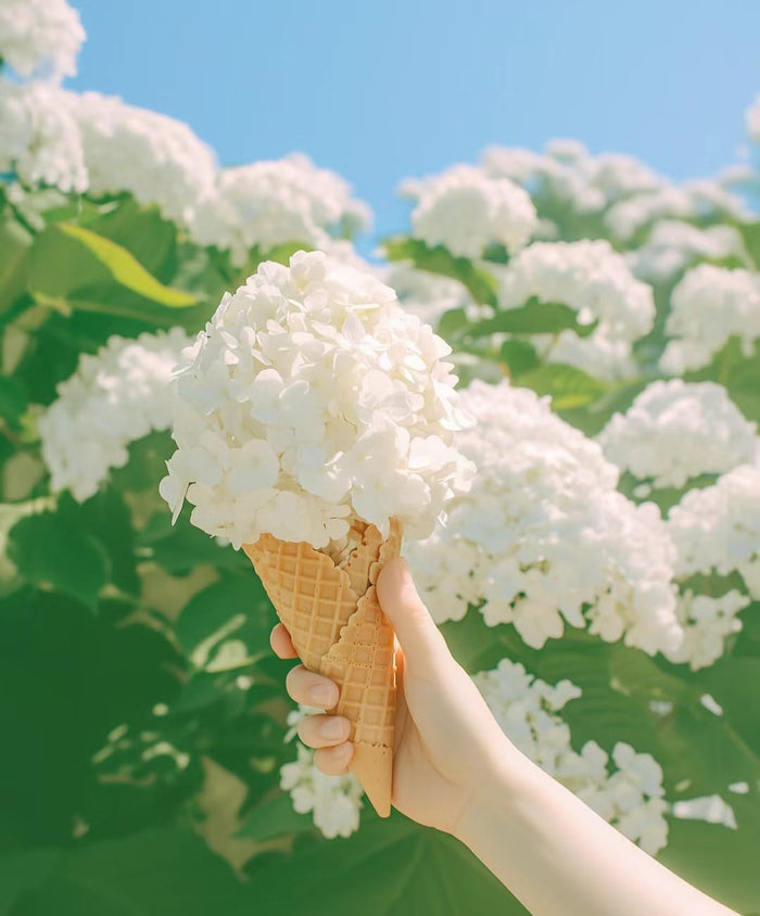 Tropic Like It's Hot: Summer Oasis for Your Bedroom - Ever Lasting