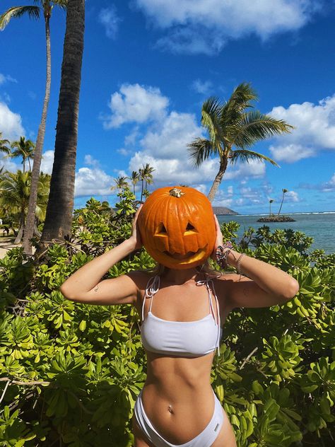 Unconventional Seasons: Decorating for an Everlasting Fall - Ever Lasting