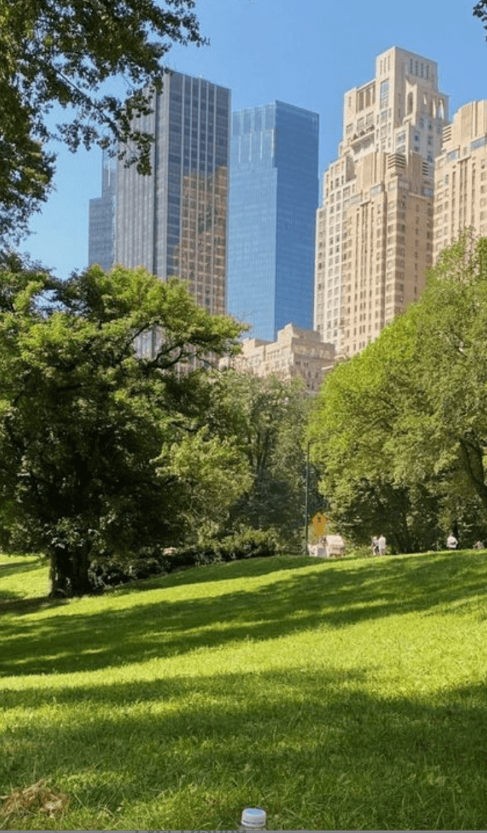 What Your Summer Vibe Says About You?  ❤ - Ever Lasting