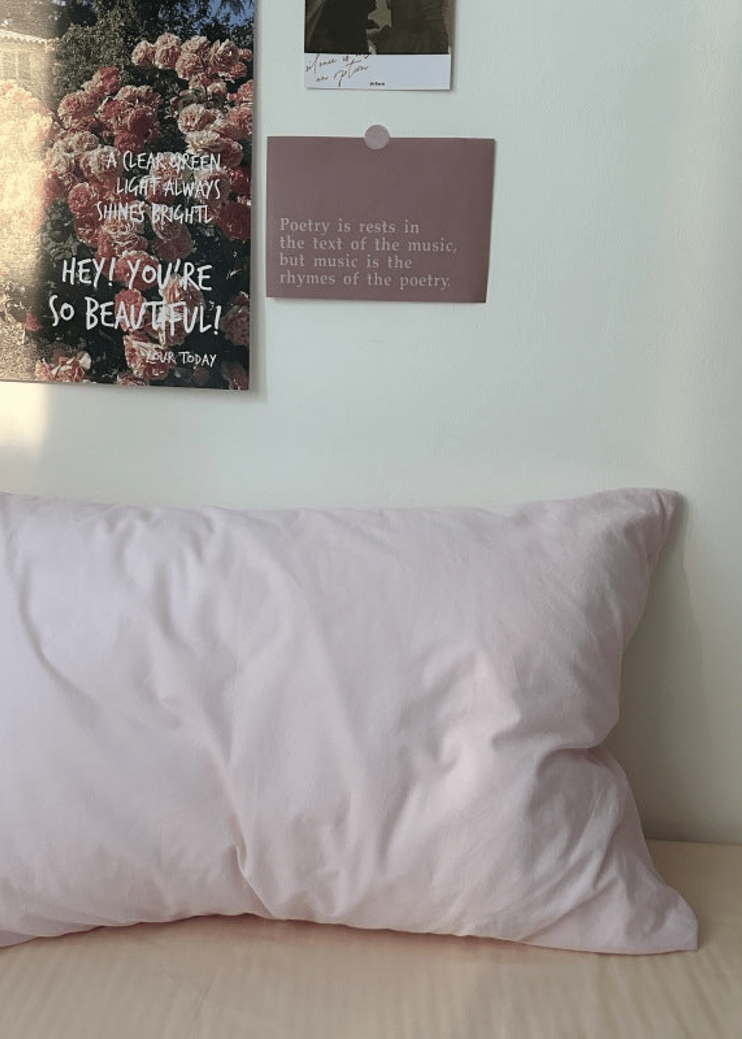 Assorted Spring Pastel Floral & Solid Cases - Ever Lasting